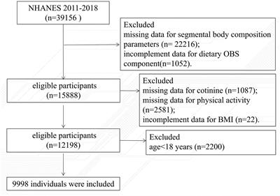 Association of the oxidative balance score with obesity and body composition among young and middle-aged adults